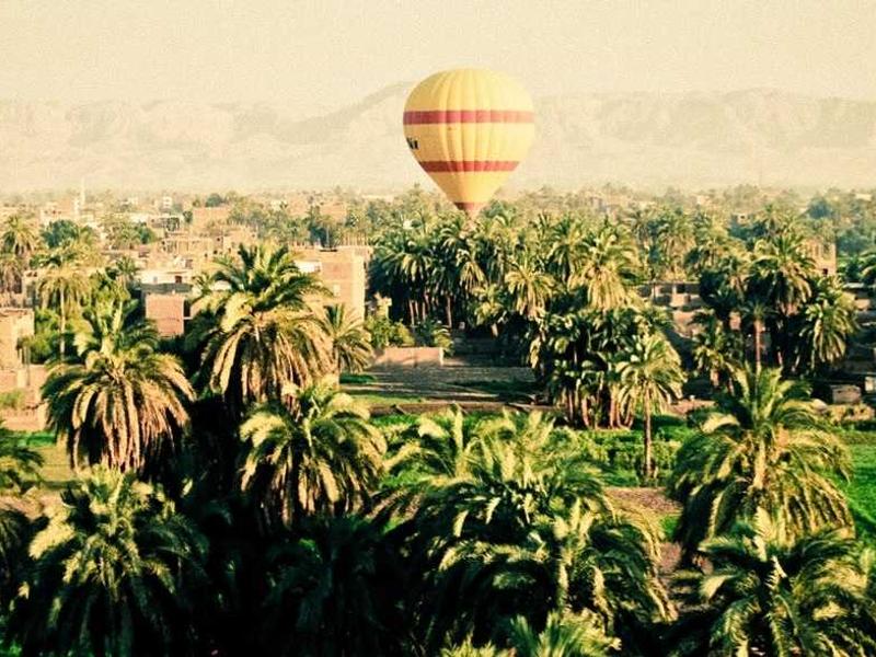 sudoku accuracy test screenshot 2