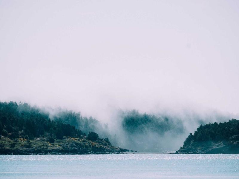 sudoku focus mode screenshot 4