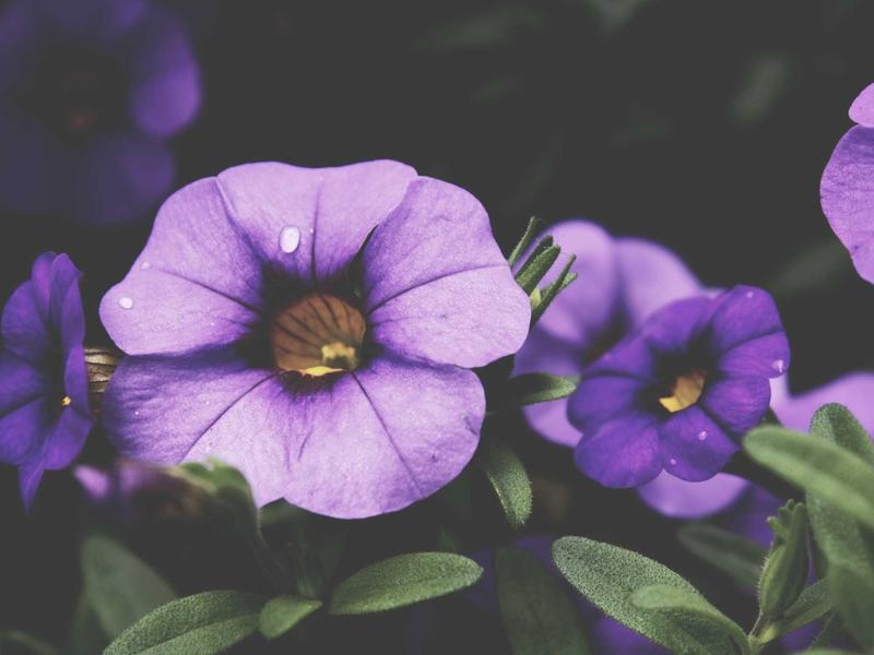 sudoku accuracy test